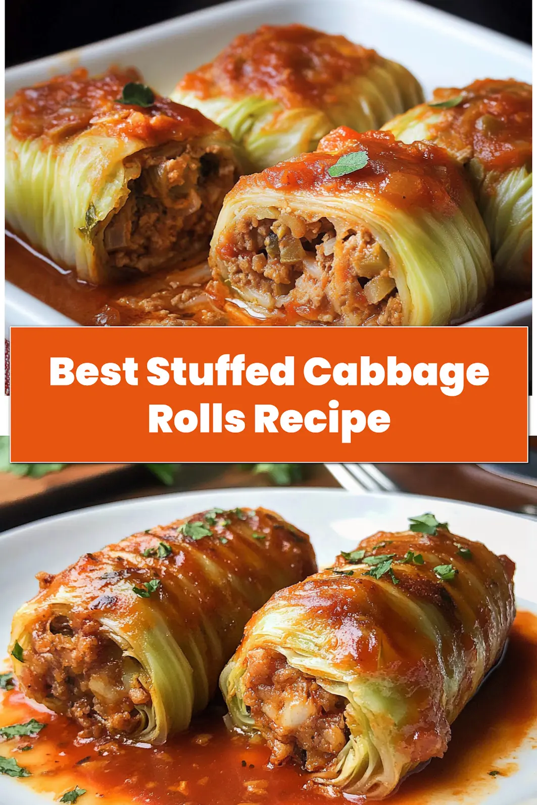 Close-up of stuffed cabbage rolls, neatly plated and ready to serve