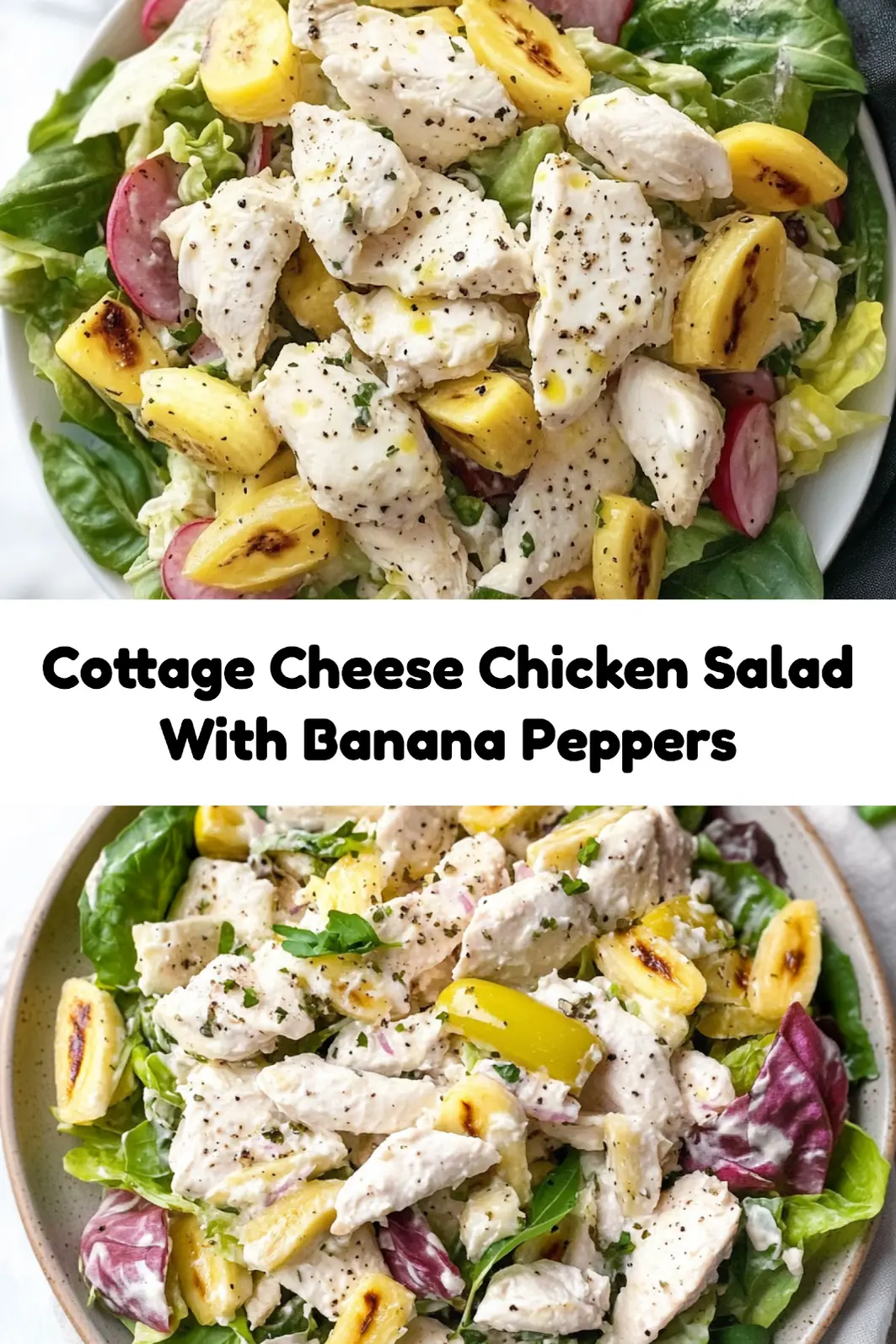 Cottage Cheese Chicken Salad with Banana Peppers ready to serve, appetizing close-up view