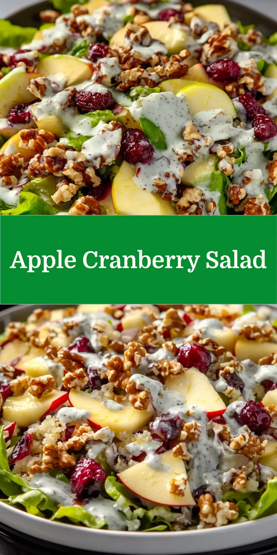Apple Walnut Cranberry Salad centered hero view, clean and uncluttered