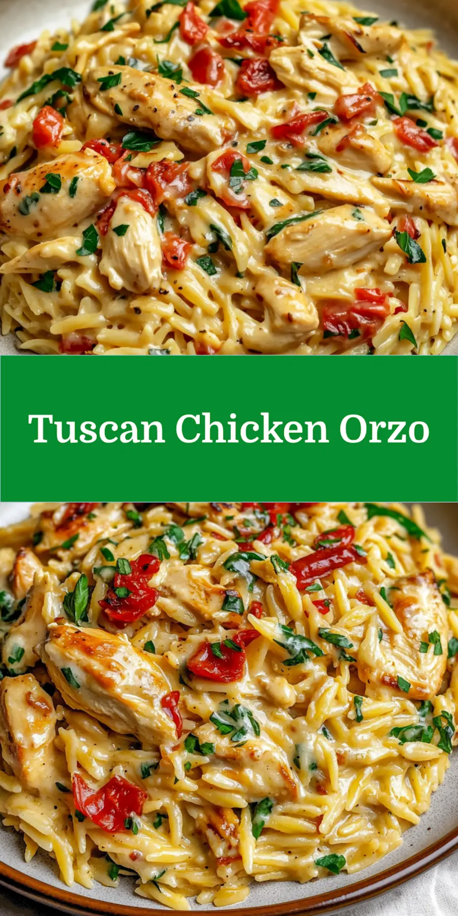 CREAMY TUSCAN CHICKEN ORZO centered hero view, clean and uncluttered