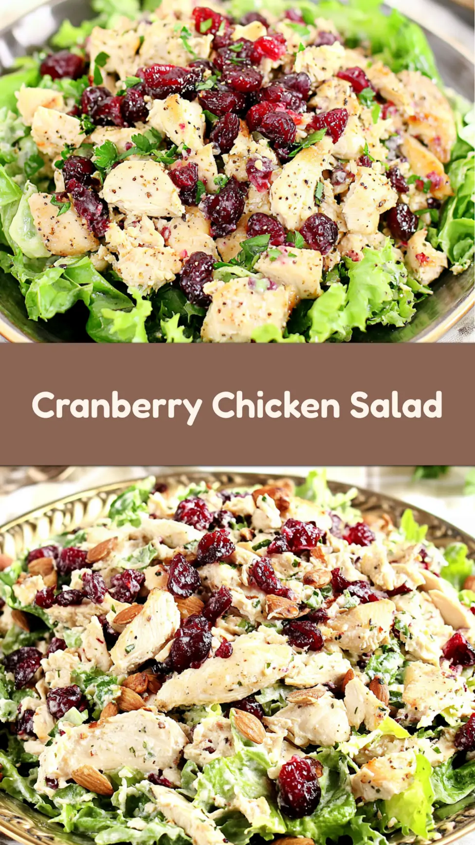 Keto Cranberry Chicken Salad centered hero view, clean and uncluttered