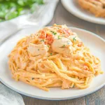 CHICKEN SPAGHETTI centered hero view, clean and uncluttered