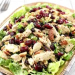 KETO CRANBERRY CHICKEN SALAD centered hero view, clean and uncluttered