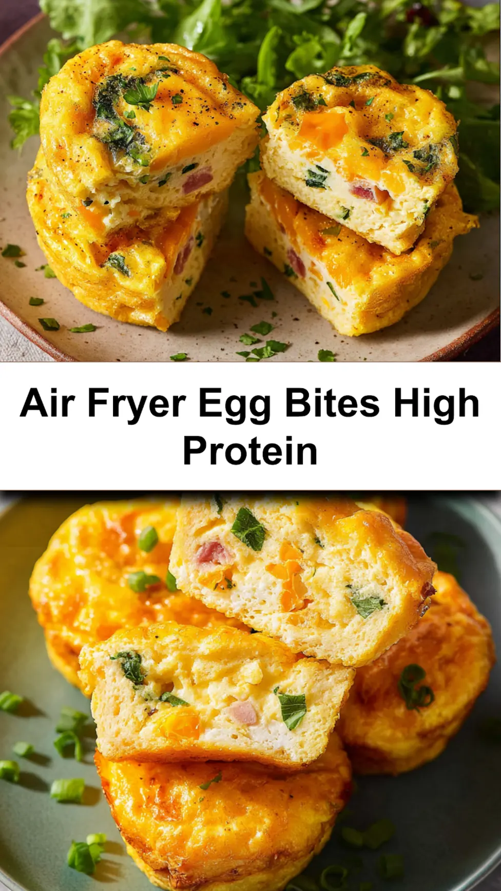 Air Fryer Egg Bites High Protein recipe, served and ready to eat