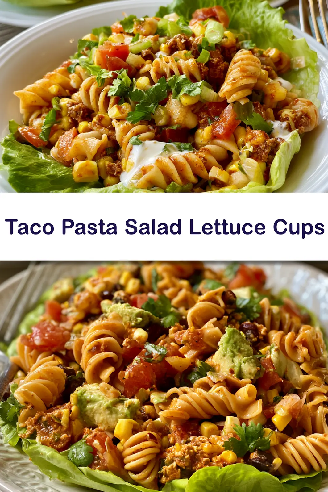 Taco Pasta Salad Lettuce Cups Vibrant New Way to Make Your Best Lunch 6 Taco Pasta Salad Lettuce Cups recipe, served and ready to eat, easy homemade dish