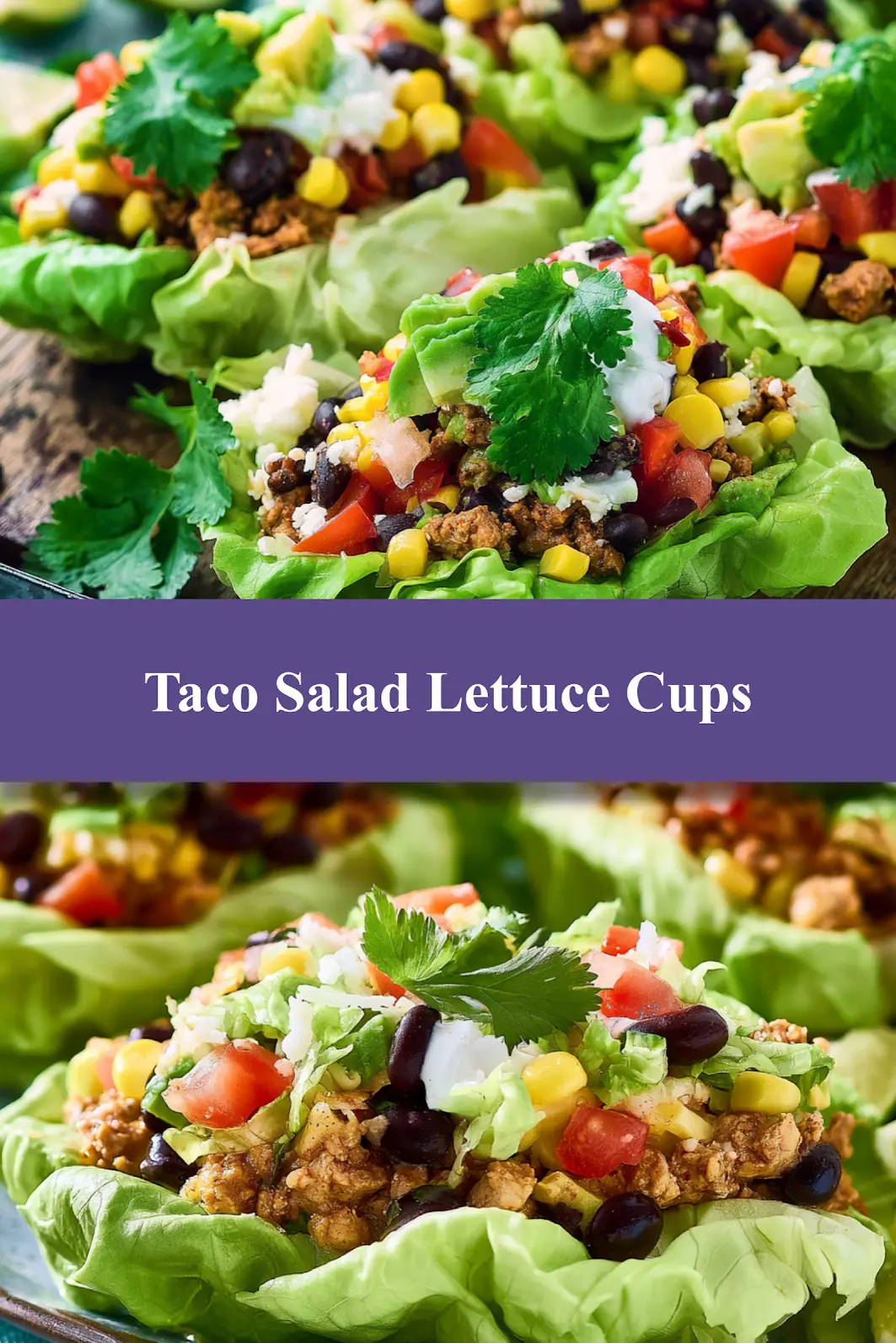 Taco Salad Stuffed Lettuce Cups Your New Favorite Fresh Dinner 6 Taco Salad Stuffed Lettuce Cups recipe, served and ready to eat, easy homemade dish